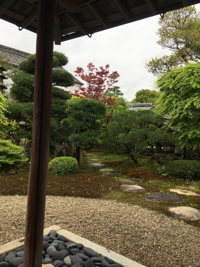 2019年GW、綺麗な景色に癒されたい。そこで国内の絶景を調べていたら、山口県の角島大橋と元乃隅神社がヒット。<br />めっちゃ綺麗!行きたい(*≧∀≦*)!<br />ついでに、岩国で錦帯橋も見て、山口県を満喫しちゃおう♪<br />という計画で出発した山口旅。途中いろいろあって、メインの2つに行けなかったという結末に。そんな旅もあるさ。<br /><br />4/29 AM 錦帯橋 <br />PM 秋芳洞<br />4/30 萩散策 →※今回<br /><br /><目的><br />× 角島大橋<br />×元乃隅神社<br />×赤間神宮<br />●萩(長門市駅で乗り間違えた)<br /><br />※●:達成、△:一部達成、×:未達成