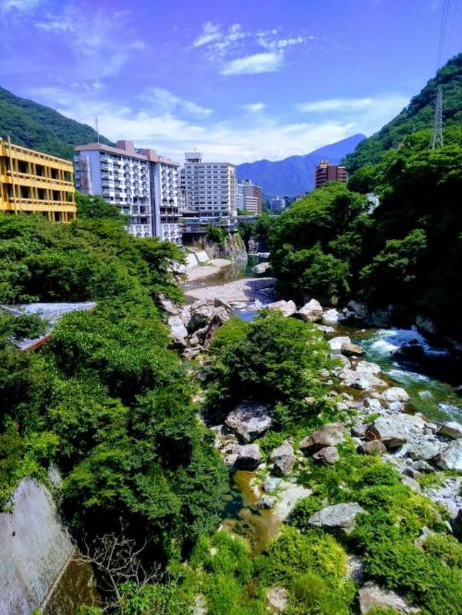 ７月中旬に鬼怒川温泉のあさやホテルに宿泊しました。<br /><br />今回で３回目の利用です♪<br /><br />１番の目的は、夕食と朝食のブッフェです！<br /><br />あさやホテル宿泊滞在が目的のため、今回は宿でゆっくりと過ごしました。<br /><br />中央の吹き抜けが豪華で、スタッフの方に素敵な記念写真をとっていただき大満足でした。<br /><br />また、数年後に行きたいと思います。<br />