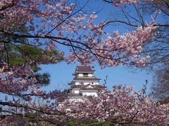 会津若松「鶴ヶ城」の桜と酒蔵ジャズライブ