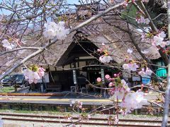 作例中　2019年4月湯野上温泉駅茅葺きの駅舎と桜のコラボが綺麗でした。