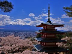 桜紀行　荒倉浅間公園