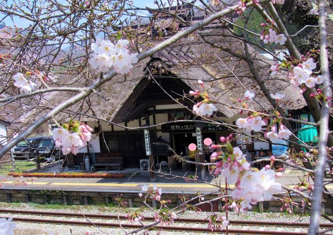 作例中　2019年4月湯野上温泉駅茅葺きの駅舎と桜のコラボが綺麗でした。