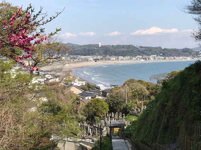 鎌倉33観音霊場巡りの5回目は北鎌倉の3寺と長谷地区の4寺を巡りました。<br />今回は久々に建長寺や高徳院 長谷寺などの有名なお寺を回ったので人も多く観光気分を味わってきました。<br /><br /> 第二十七番 妙高院 → 第二十八番 建長寺 → 第二十九番 龍峰院 → 第二十三番 高徳院 → 第四番 長谷寺 → 第二十一番 成就院 → 第二十二番 極楽寺<br />