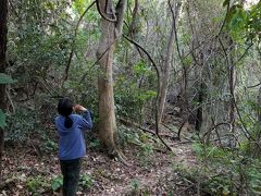 父娘２回目の２人旅　タイ中部ケンガチャン国立公園でヤイロチョウ探しとホアヒン観光　3日目