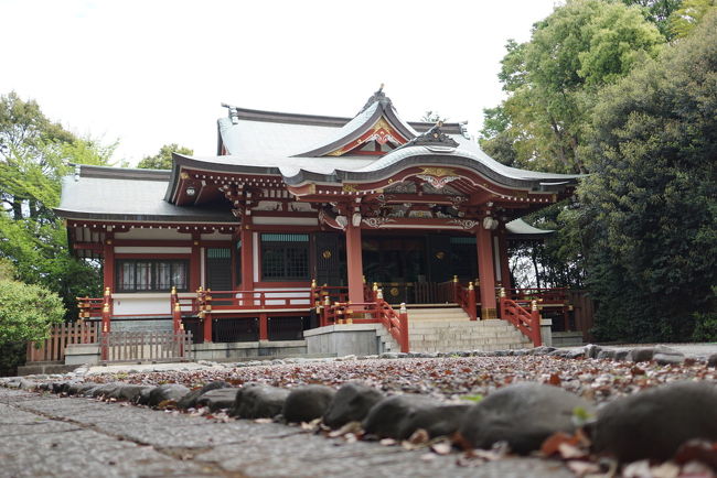 御朱印帳1冊目(神社)があと4枚で終わります。<br /><br />平成のうちに一冊目を終わらそうと、吉祥寺に行って来ました。<br /><br />武蔵野八幡宮、弁財天、それから「リスまつり」に釣られて、GWで賑わう井の頭自然文化園にも行って来ました。<br /><br />お昼ごはんは、魚が食べたくなり「里の宿」へ。<br />美味しい金目鯛の煮付けを食べることができました。