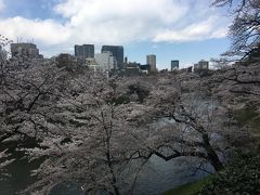 平成最後の桜（その1）昼の千鳥ヶ淵！