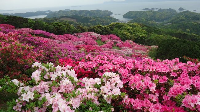 佐世保バーガーを食べたいので佐世保についでに長串山公園にびっくり！