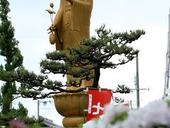 法雲寺（法雲禅寺）のつつじ