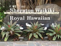 弾丸ハワイ・ホノルル旅２－Sheraton Waikiki Hotel 2239号室編