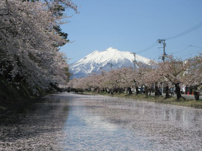 弘前城で夜桜を見た翌日、日中の弘前城にも行って来ました。<br />満開を過ぎ、散り始めていたところでしたが、花吹雪や花筏などは非常に楽しめました。<br />昼夜両方を見て言える。やはり弘前城の桜は日本一！