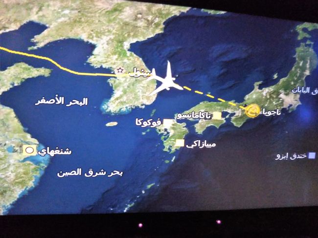 長い旅行記もこれが最終。読んでいただいた皆様ありがとうございます。あとは帰国するだけで、こうして旅行記を書いているからには無事に帰国できているわけです。<br /><br /> 旅行に行くまでには、まずテレビやブログなどから魅力的な情報が入って来て、それについてたくさんの調べ物をする。予算、日程、交通機関や宿の有無で、実際そこに行けるのかを判断。その後で航空券を買うことが多い。今回も基本的にはこの手順だったが、調査不足で思っていた行程は困難だと、航空券購入後にわかった。<br /> 最初に考えた旅程は初日にバンドゥルマという町まで一気に移動することになっていた。しかしもし飛行機が遅れたら?乗れると思っていた最終フェリーの時刻が変更されていたら?暗くなってから到着するバンドゥルマで予約したホテルの位置表示が誤りだったら?不安なら調べるしかないがその時間がなかった。だからイスタンブール連泊となったのだが、やってみて思った。下調べせずに行くと、どんなポピュラーな観光地でも新鮮なんだと。いつも調べすぎていたんだな。<br /> これからもたまにはあまり調べずにどこかへ行ってみよう。今回の旅行の最大の感想はそんなところだ。<br /><br />
