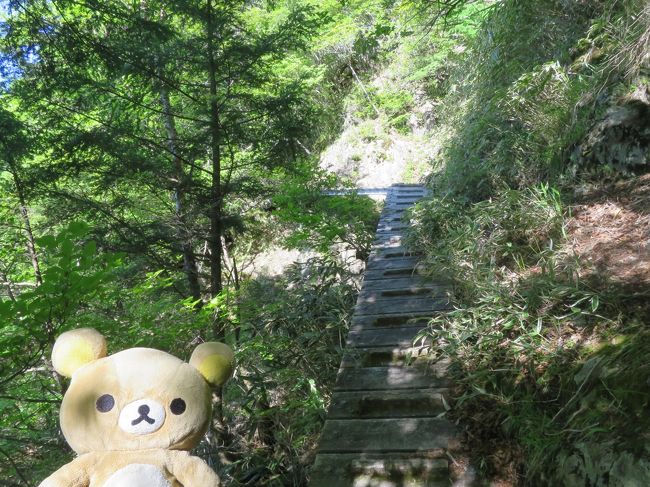 クマ！<br />さて　クマの旅もいよいよ本番。雲取山～飛龍山に向かうクマ。<br />こっちのルートは人も少ないのでドキドキクマ！<br />こっから始まる「？？地獄」え！？？は何か下山まで見ると分かるクマ！<br />さて　クマはドラゴンに会えるかな？熊除けの鈴持って行くクマ！