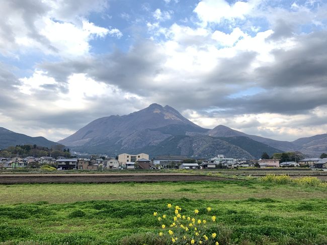 菜の花の香り漂う、春の由布院温泉「六花」