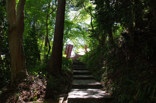連休中の4月28日(日)が天気良さそうだったので、埼玉の山へ向かいました。<br />拝島駅でJR八高線に乗り換えました。良い天気で、八高線の車窓は素晴らしい眺め。高麗川駅で約1時間待ち、八高線のディーゼルカーに乗って、10:49にようやく明覚(みょうかく)に到着。明覚駅は洋風山小屋のような駅舎で、関東の駅百選の駅だそうです。<br />山行きには遅い歩き始めでしたが、なんとかなる気がしました。まず、都幾山(ときさん)に向かいました。今回は歩行距離を稼ぐつもりで、歩き始めました。延々と約5km、道路を歩きました。<br />都幾山の山腹に慈光寺が有ります。慈光寺の登山口より登り始め、中腹に着きました。たーくさんの板碑が立っています。慈光寺山門跡の板碑群だそうです。<br />概ね慈光寺に着きました。木々に囲まれた開山寶塔が良い雰囲気でした。本堂へお参りしました。上の方に観音堂が有ります。頑張って上りました。観音堂に来て、ちょっとびっくりしました。本堂よりもずっと大きく立派なお堂です。山の上なのに。彫刻も見事。天武天皇2年(673年)に観音様が安置されたのがこのお寺の始まりとのこと。<br />観音堂の奥に道が有ります。この先は参道ではなく、整備されていない感じの道。ジグザグじゃなくて、直登であり、標識が有りません。頑張って登り、PM1時過ぎ、標高463mの都幾山頂上に到着。この頂上は眺望が有りません。山頂標が金属板に彫金したもので、ユニークです。<br />もう、疲れていましたが、次、笠山を登ることにしました。笠山頂上までは高低差がまだ400m有るはずでしたが、近いように見えました。舗装された緩やかな林道を行きました。笠山峠から笠山への道が分かりにくく、たまたま居た人に教えてもらいました。笠山頂上への道もジグザグではなく、直登で、標識がほとんど有りません。頑張って登りました。<br />笠山頂上の標識に到着しましたが、ここが最高点じゃないみたい。緊張する岩場を進み、ようやく、笠山神社に到着。笠山は標高837mです。PM4時過ぎでした。お参りし、少々休憩しました。<br />神社の前が頼りない急な階段で、迂回する道が有り、そっちを下りました。あとは下るだけ。所々に滑りそうな箇所が有り、慎重に下りました。道が緩やかになり、笠山神社の下社に到着。この下社はわりと高い位置であり、さらに下った所に鳥居が有り、林道に出ました。<br />小川町駅(埼玉県)に向かい、延々と歩きました。途中でどっぷりと暗くなっちゃいました。下社の鳥居から小川町駅まで9km有ったようです。<br />東武東上線で帰途に就きました。