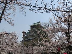 大阪城西の丸庭園の桜を眺める