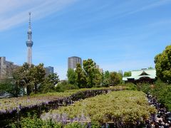 平成の最後に亀戸天神社で完結！　東京十社の御朱印めぐり