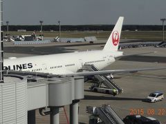 2015夏(^o^)特典航空券で行く☆東京⇒ストラスブール☆JL407便...フランクフルト経由ドイツ鉄道乗り継いで到着です