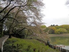 14日曜午前大池公園