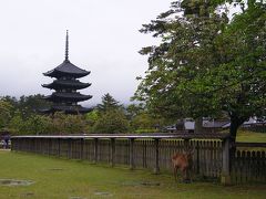 暇はあるが金はないgw10連休 近場たび奈良 その１ 奈良市 奈良県 の旅行記 ブログ By ぴこらさん フォートラベル