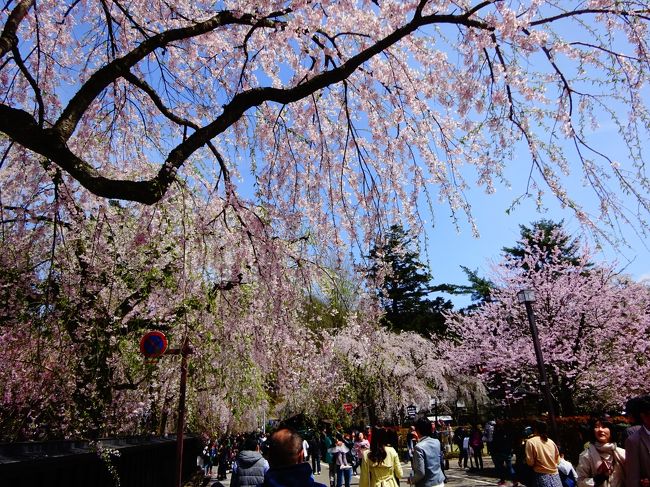 2019年 Golden Week、<br /><br />今年は桜のシーズンが、海外出張だっため、<br /><br />遅い春を求めて、東北へ、最終目的地は、<br /><br />憧れの、角館。<br /><br />お宿は乳頭温泉。<br /><br />今年のGWの旅、ハイライトです。