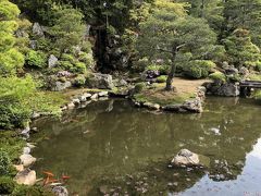 新緑の京都①～令和のはじまりを京都で過ごす☆仁和寺・長楽寺・祇園～