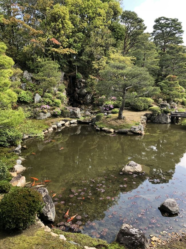 新緑の京都①～令和のはじまりを京都で過ごす☆仁和寺・長楽寺・祇園～