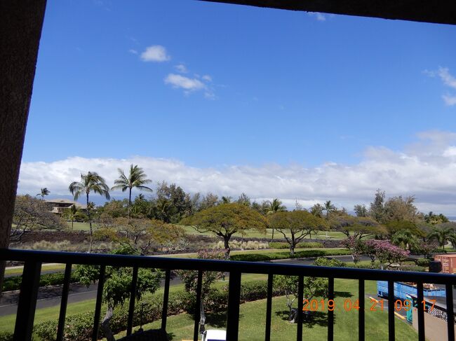 当家一子相伝の密教（陰陽道他）で、<br />此の年は私にはエネルギー充電に良いので、ハワイ諸島の中のハワイ島に行ってきました。<br /><br /><br />The Bay Club at Waikoloa Beach Resortもシェアで購入して以前滞在しましたが、<br /><br />今回は、<br />同時期に購入したオアフ島の<br />Hilton Hawaiian Village Waikiki Beach Resortのポイントを使いました。<br />ワイキキとハワイ島・コナだと１．５倍程度に使えるようですが、<br /><br />チャーターした車の運転兼ガイドさんは、此のThe Bay Club at Waikoloa Beach Resortは、広いし人気が在ると言っていますが、<br /><br />普通のホテルなら、「まあまあ」でしょうが、コンドミニアムのシェアとして見本を見ていますから、「狭い」です。<br /><br />まあ、在住しているとホテルにもシェアにも泊まる事はないのは、<br />私どもも、過去に海外在住していてわかりますから、単なる伝聞だけの話という事です。<br />在住しているからこそ、観光客相手の施設は分かりません。<br /><br />https://youtu.be/hzpM_OfsoLk<br />ハワイ島の広さが実感できる：<br />The Bay Club at Waikoloa Beach Resortのチェックインカウンターの建物前から敷地を出る。此の門は開けっ放し。門は三か所有り、残り二つは部屋のカードキーで入れる（出るのはフリー）。ワイコロア ビーチ マリオット リゾート &amp; スパの前のワイコロアビーチへのドライブ。近くのビーチでは一番良いだろう。<br /><br />ネットで探してもThe Bay Club at Waikoloa Beach Resortは日本語では殆ど出てきません。　英語サイトで下調べしたので、見たままです。<br />全室同じ構造の様ですが、欧米人のは一階の紹介が多いのは、彼らは一階が好きな様です。<br />BBQも楽だし・・・って思うが、地に足が付いているのが好きなんでしょう。<br /><br />韓国や中国当たりの人はローヤル階と言って、周りを囲まれている階を好んでいます。<br />日本人は一階がペントハウスですね。(^▽^)/私だけかな・・・<br /><br />某オリンピックは某国のマンションペントハウスから見られました(;^_^A