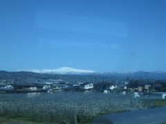 春旅・みちのく花の旅　蔵王～銀山温泉