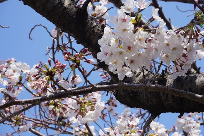 関西散歩記～2019 兵庫・西宮市編～