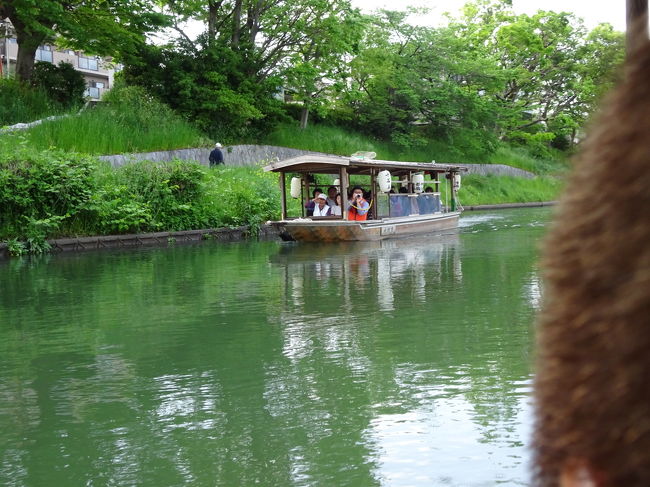 GWに京都 伏見へ行きました。<br />十石舟が予約出来たので、<br />酒蔵見学やきき酒、<br />龍馬の寺田屋などを楽しみました♪<br />特に十石船は、<br />新緑の季節の中、<br />風も心地よく、船からの景色も大変綺麗でした。<br />両側の花も季節に合わせて楽しめると思います。<br />予約ができれば、紅葉の頃も素晴らしいでしょうね。<br />乗車券提示で1割引のお店で<br />きき酒をしました。<br />他にもお酒を飲めるお店がたくさん!<br />お酒好きな人には楽しい場所でしょう。<br /><br />GWで大変混雑する京都を少し離れただけで、ほどほどの人混みが良い静かな伏見観光でした。<br />
