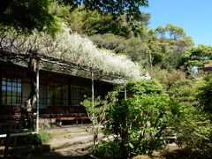 平成最後の鎌倉散歩  ～英勝寺・寿福寺・光明寺・安養院～