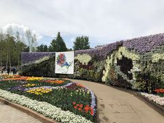 信州花フェスタ2019に、車椅子の両親と。花が、サボテンが最高にキレイ！