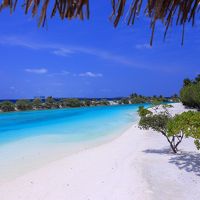 Maldives - Paradise Island Resort -