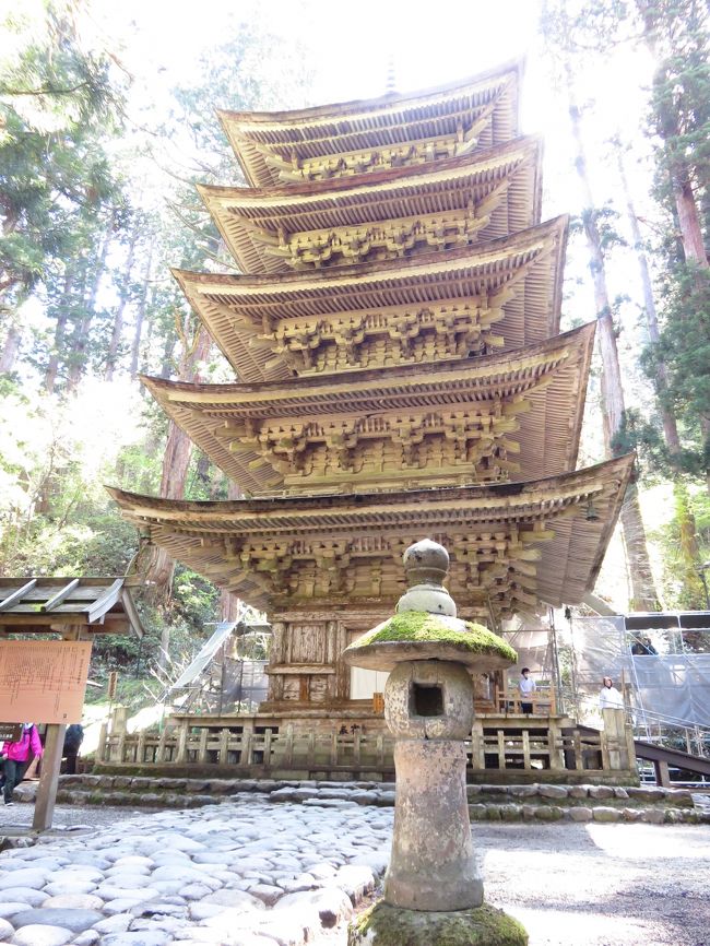 十連休は山形へ。初日、二日目は最高に天気が良くって最高の一言。最終日は残念ながら雨に降られちょっとテンションダウン。<br /><br />でも、羽黒山では神聖な空気に触れ心洗われ、酒田では新鮮な海鮮を食べ満足できました。