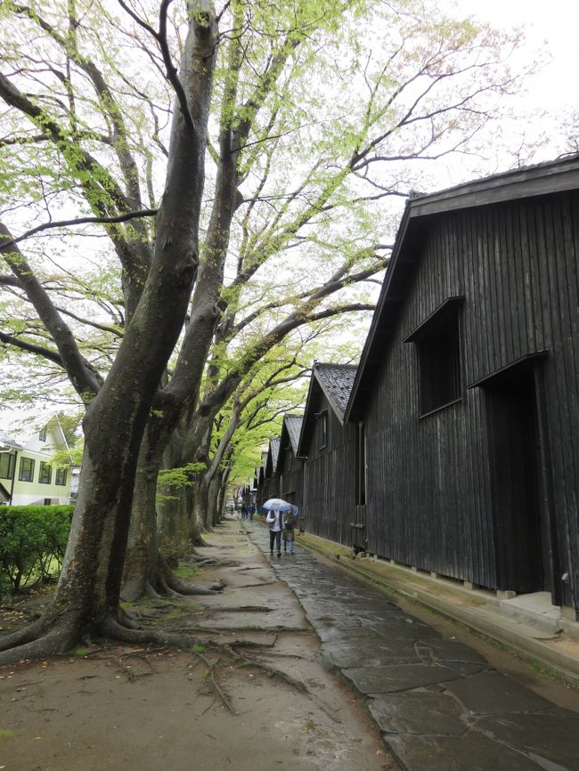 山形満喫の旅～羽黒山・鶴岡・酒田を巡る②～