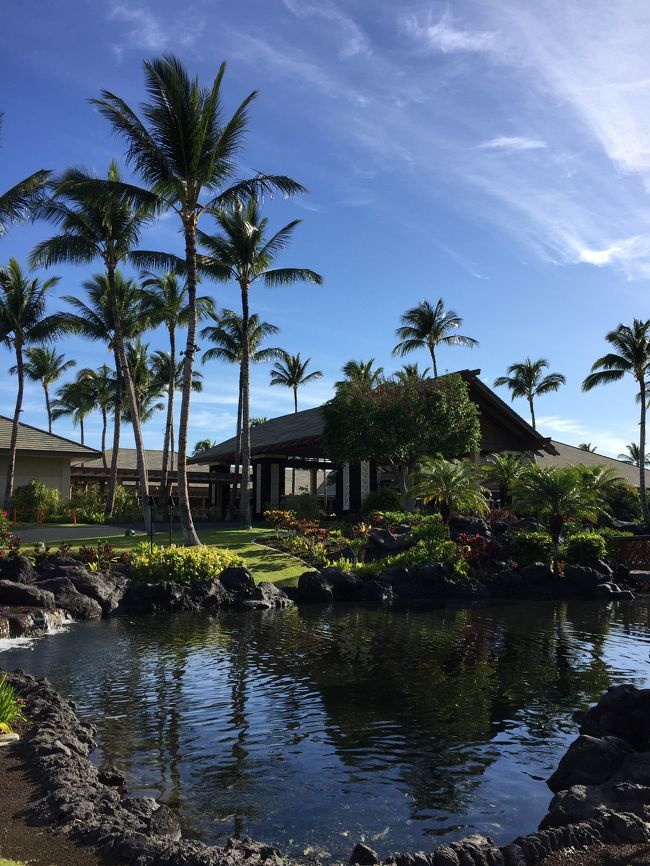 いよいよ帰国の日!<br /><br />昨年よりホームをGrand Waikikianに移したので、ビジターとしての滞在です。<br />そうは言っても半年前には余裕で予約できたので、まだKINGS’ LANDは狙い目でした!<br /><br />グレードアップ時のボーナスポイントも使って2BD PLUSのお部屋に宿泊!<br />アホボンも広島から1日遅れで参戦して、1日早く帰国するという超過密スケジュールでしたが、無事に全行程終了!<br /> <br />平成天皇退位と令和天皇即位で思いがけず超大型連休になり、大っぴらに休めたので細かくメールチェックしなくて済んだのはラッキー!<br /> <br />今回も思いっきり楽しめました(^_^)<br /><br />また来年も来ま~す(๑˃̵ᴗ˂̵)