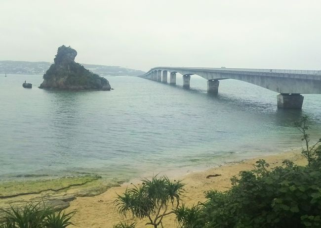 この日から3日間沖縄を満喫します☆