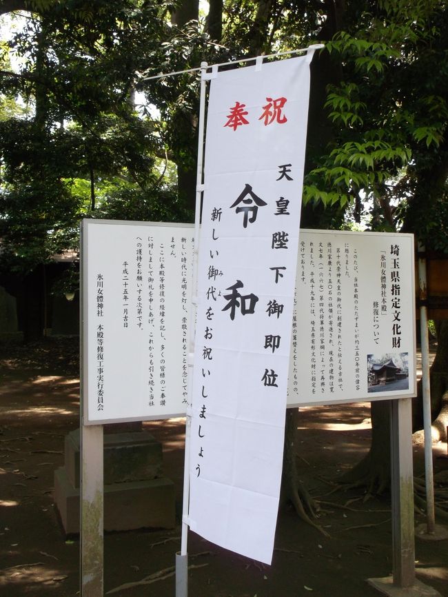 先日の青梅・御嶽渓谷歩きは、みどりに癒され心身ともにリフレッシュできました。ただ、片道2時間ほどかかることと、連休中、電車が一部通勤列車並みに混雑するのが難点。<br /><br />それでは、家の近くで、あまり人ごみを通らず、新緑を味わえるところへ行ってみますかと、手近な散歩道「見沼用水縁」に行きました。いつでも来られる距離にありながら、あらあら、2年ぶりくらいかしら。令和初の小さな小さな旅です。<br /><br />ただいま計画中の今夏の旅行は炎天下結構歩く予定、今のうちに足を鍛えておきましょう。