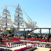 雪の大谷～海王丸（新帆展帆）～五箇山そして白エビ、ホタルイカなどの旬の味覚を味わう２泊３日の親子旅