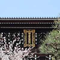 京都・さんぽ地図の旅　⑤平安神宮～真如堂