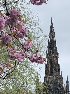 イギリス旅行その1　桜咲くエディンバラ