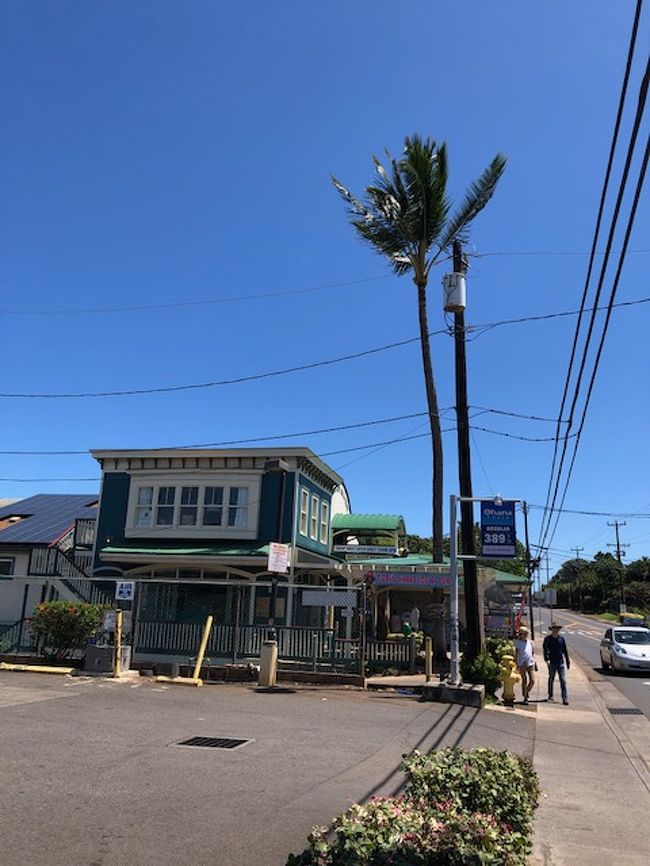 大好きなハワイ、夫の希望でマウイ島です！<br />今回は以前行けなかったパイア観光とハナ方面へのドライブをメインに行動する予定！！<br />②はクラ→パイア→ラハイナ観光です