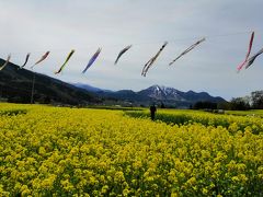 ☆2019年春　長野温泉巡り　バスの旅☆　長野　No3