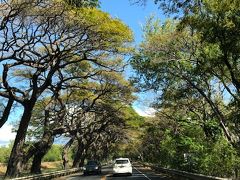 2019 4月マウイ島に行ってきました③