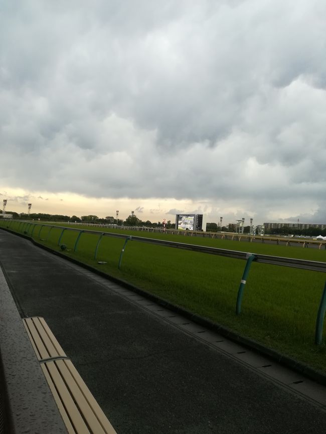 令和になり最初の東京競馬開催となりました。新時代の幕開けということで運試しを!!との志しで東京競馬場へと行きました。天気も良く良い気候だったんですが、、、。まさか最後にこんな結末がまっているとは、、、。(泣)