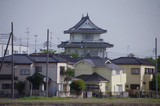 5月3日は「埼玉スリバチ学会」のフィールドワークに参加し、埼玉県加須(かぞ)市へ行きました。<br />東武伊勢崎線の加須駅に少々早く着いたので、北口側を単独で散策。諏訪神社にお参りし、すき家で朝食として豚丼を食べました。会の川の水路の景色が良かった。<br />利根川河川敷での加須市民平和祭の開催日でした。<br />10時頃、学会の皆様が集合し、無料送迎バスで利根川沿いへ行き、利根川沿いの大越をしばし歩きました。<br />11時半に巨大鯉幟が揚がるということで、祭の会場へ行きました。長さ100mの巨大鯉幟が空へ上がり始めましたが、トラブル発生。口の輪っかが折れてしまったとのこと。空を泳ぐことはできませんでした。(午後は雄大に泳いだそうです。)<br />無料送迎バスと朝日バスを乗り継ぎ、騎西(きさい)へ行き、昼食はうどんを食べました。固めのうどんでおいしかった。<br />玉敷神社へ行きました。大宝3年(703年)創建と伝えられている古社だそうです。隣の玉敷公園では藤が真っ盛りでした。藤は目で見るとどうってことないのですが、撮ると見事に写り、不思議なものです。<br />騎西の寺、神社、用水路、城跡、板碑等を巡りました。<br />フィールドワーク後の魚民での反省会も楽しかった。