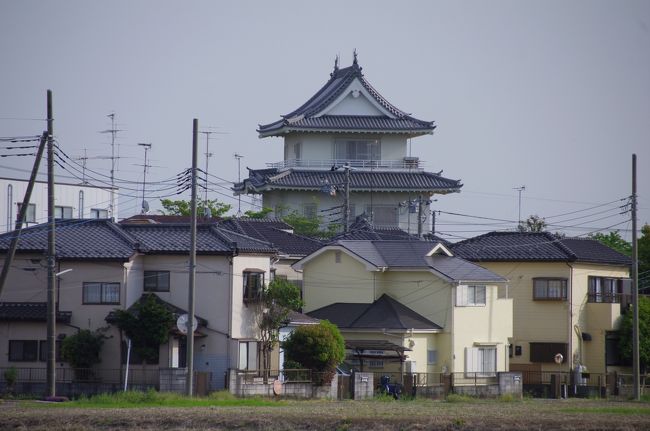 ５月３日は「埼玉スリバチ学会」のフィールドワークに参加し、埼玉県加須（かぞ）市へ行きました。<br />東武伊勢崎線の加須駅に少々早く着いたので、北口側を単独で散策。諏訪神社にお参りし、すき家で朝食として豚丼を食べました。会の川の水路の景色が良かった。<br />利根川河川敷での加須市民平和祭の開催日でした。<br />10時頃、学会の皆様が集合し、無料送迎バスで利根川沿いへ行き、利根川沿いの大越をしばし歩きました。<br />11時半に巨大鯉幟が揚がるということで、祭の会場へ行きました。長さ100ｍの巨大鯉幟が空へ上がり始めましたが、トラブル発生。口の輪っかが折れてしまったとのこと。空を泳ぐことはできませんでした。（午後は雄大に泳いだそうです。）<br />無料送迎バスと朝日バスを乗り継ぎ、騎西（きさい）へ行き、昼食はうどんを食べました。固めのうどんでおいしかった。<br />玉敷神社へ行きました。大宝３年(703年)創建と伝えられている古社だそうです。隣の玉敷公園では藤が真っ盛りでした。藤は目で見るとどうってことないのですが、撮ると見事に写り、不思議なものです。<br />騎西の寺、神社、用水路、城跡、板碑等を巡りました。<br />フィールドワーク後の魚民での反省会も楽しかった。