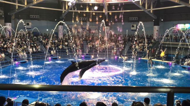 品川水族館 アクアパークに行ってきました。