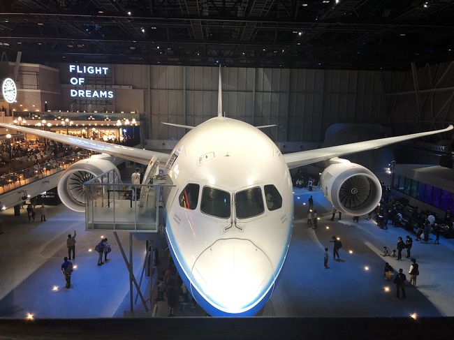 GWなので何しようってことで、飛行機見てきました。