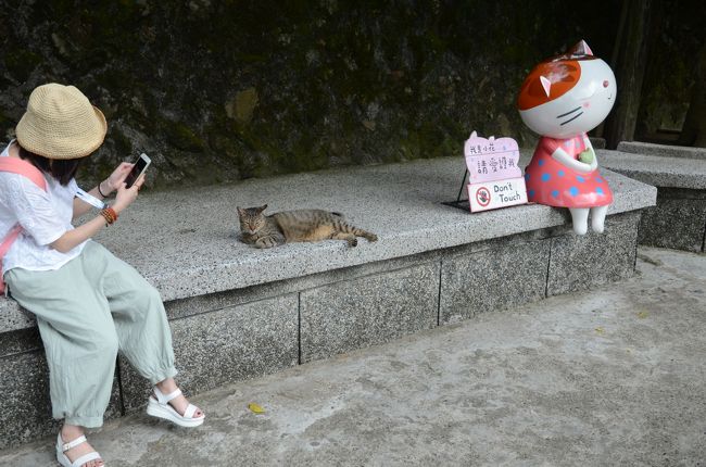 2018年夏、台湾　男一人旅　（４日目猴?猫村と台湾大学他、帰国）(猫写真多め)
